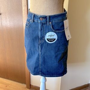 Dickies Perfect Shape Denim Skirt